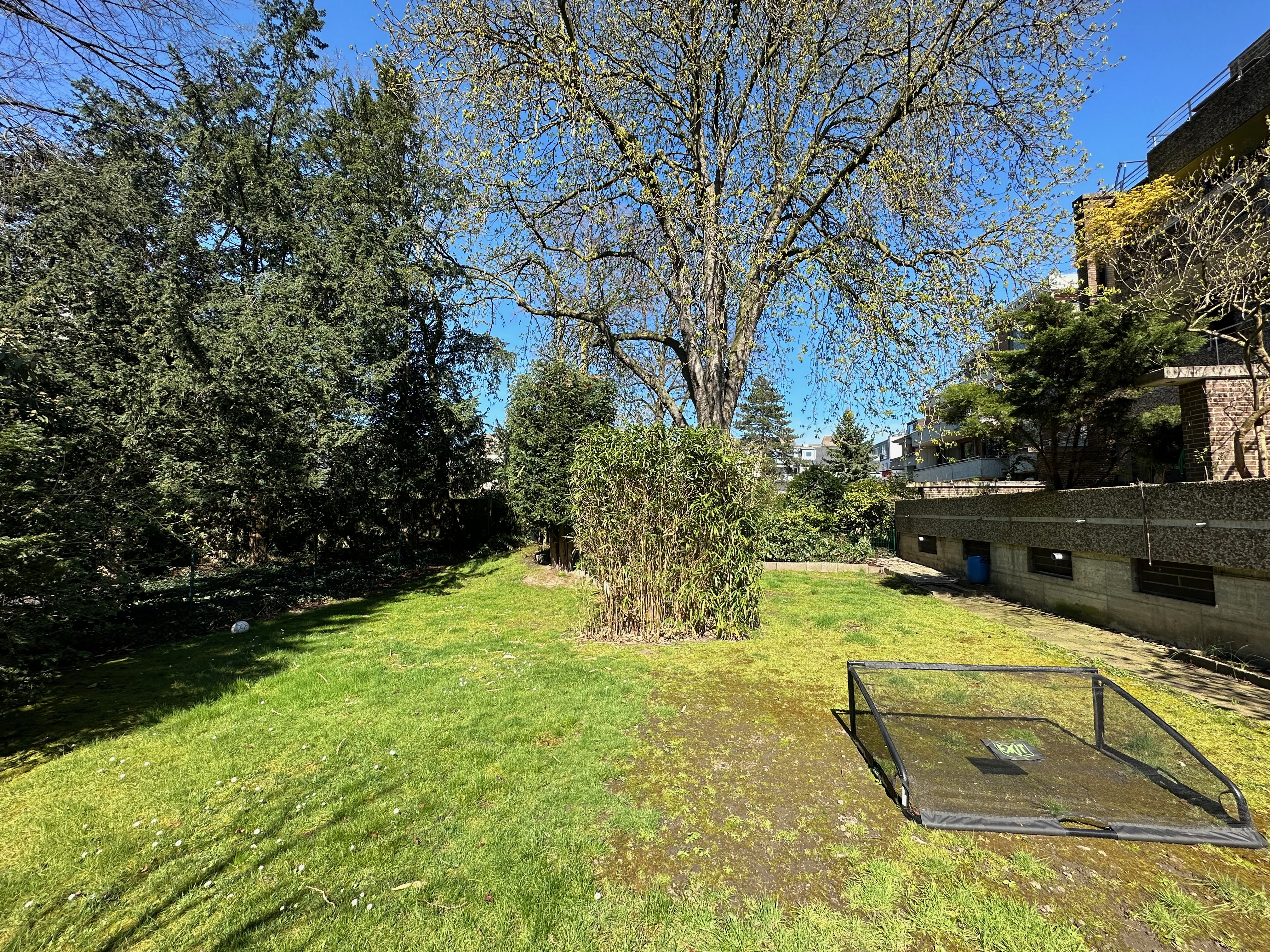 Grüner Garten mit Bäumen, Rasen und einem kleinen Fußballtor im Vordergrund.