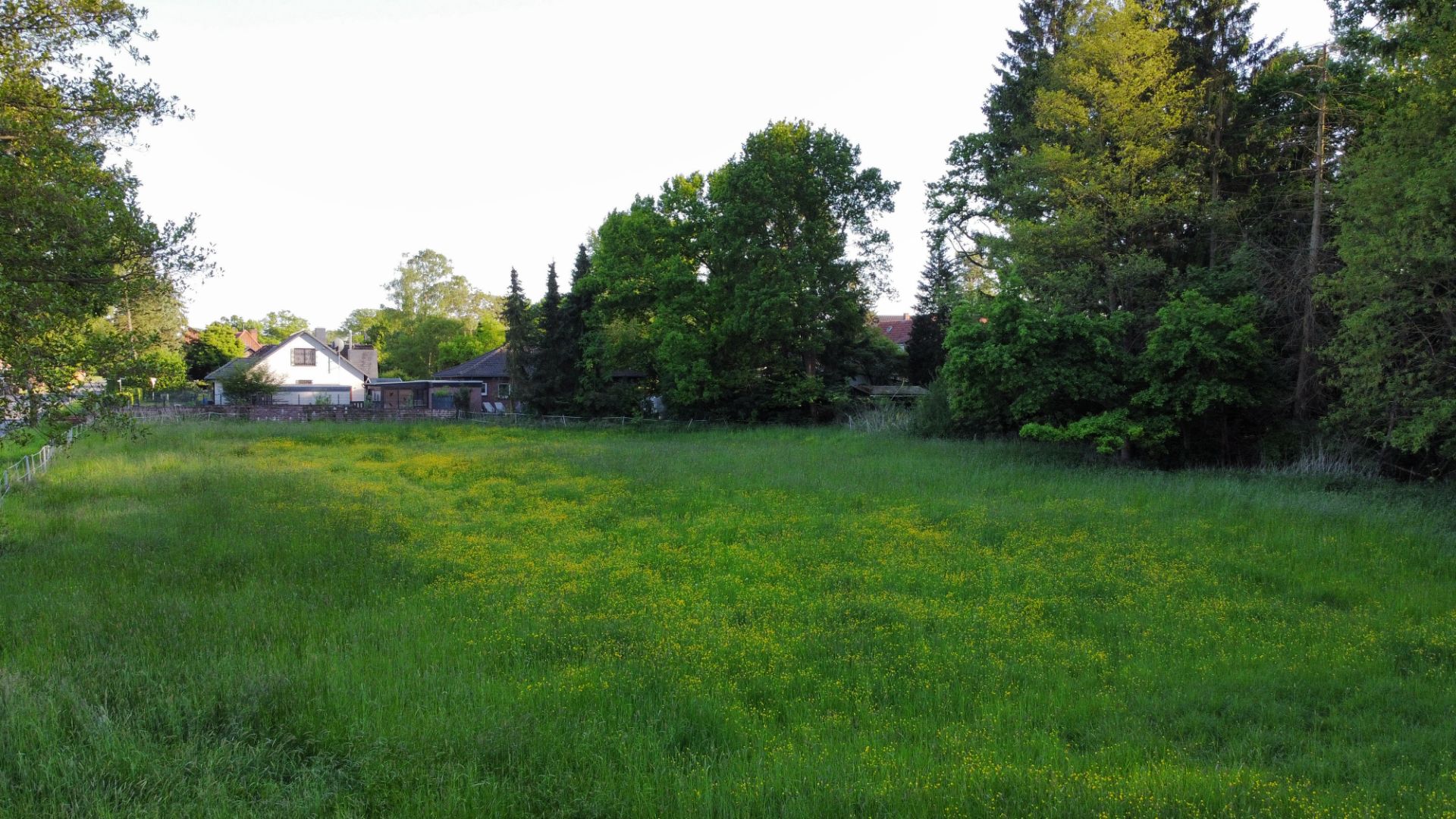 Grüne Wiese mit Bäumen im Hintergrund und einigen Wohnhäusern am Rand.