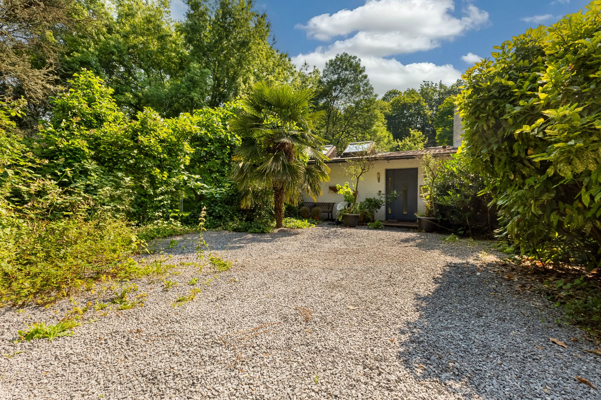 Kleines Haus mit grauem Eingang, Kiesfläche und vielen grünen Pflanzen im Garten.