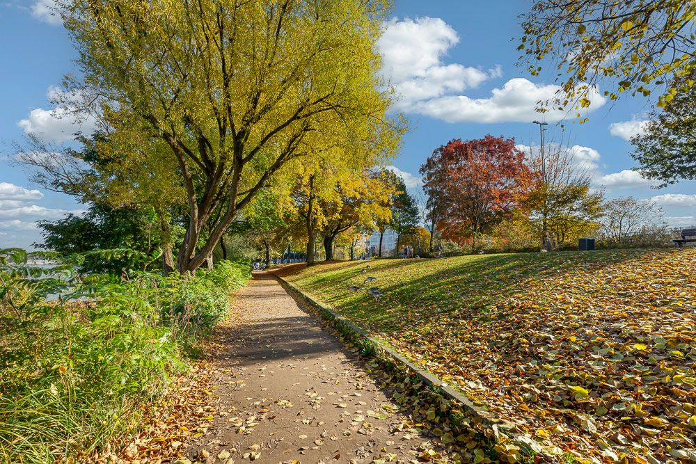 Gepflasterter Weg durch einen herbstlichen Park mit bunten Bäumen und Laub.