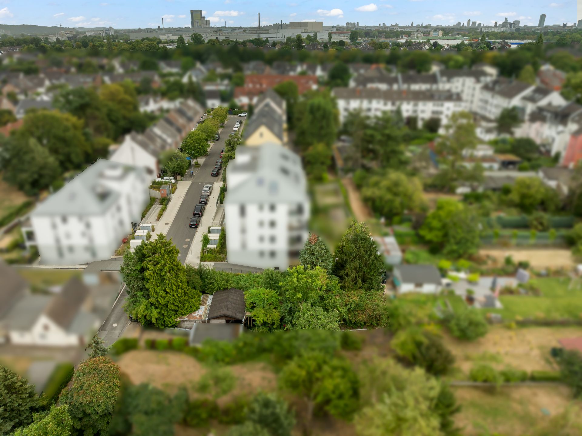 Luftaufnahme einer Wohnsiedlung mit mehreren Häusern, Gärten und einer Straße.