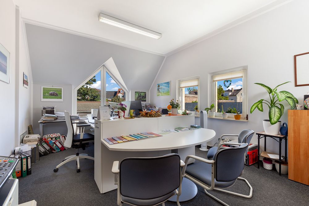 Helles Arbeitszimmer mit Schreibtischen, Stühlen, Pflanzen und Fenstern mit Blick nach draußen.