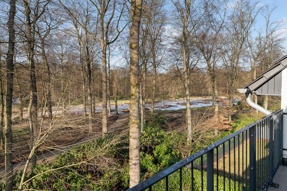 Blick von einem Balkon auf einen Park mit vielen Bäumen im Winter.