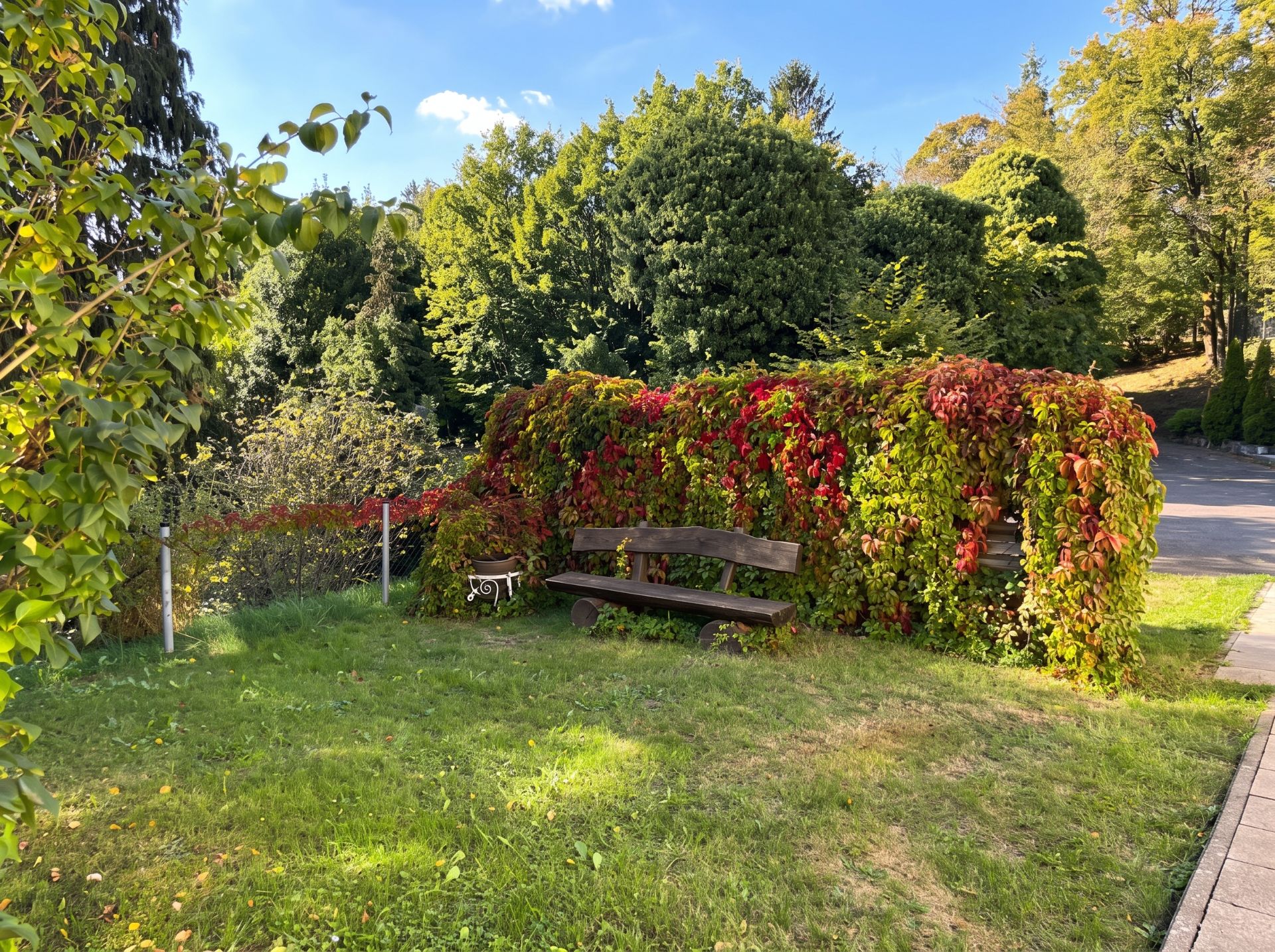 Holzbank auf einer Wiese vor einer Hecke mit buntem Laub, daneben ein kleiner Beistelltisch.