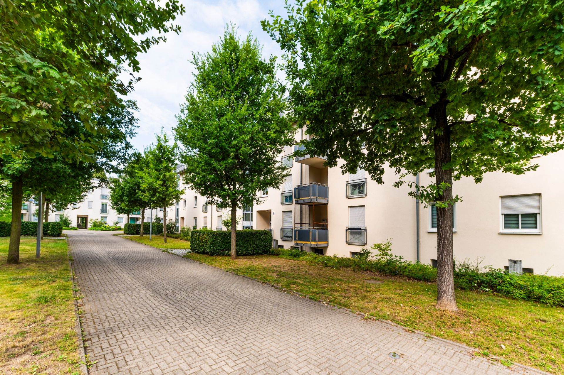 Gepflasterter Weg mit Bäumen vor einem mehrstöckigen Wohngebäude.