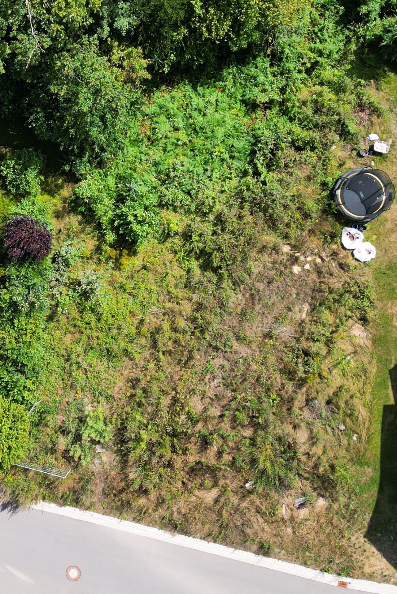 Luftaufnahme eines bewachsenen Gartengrundstücks mit Trampolin und Straße am unteren Bildrand.