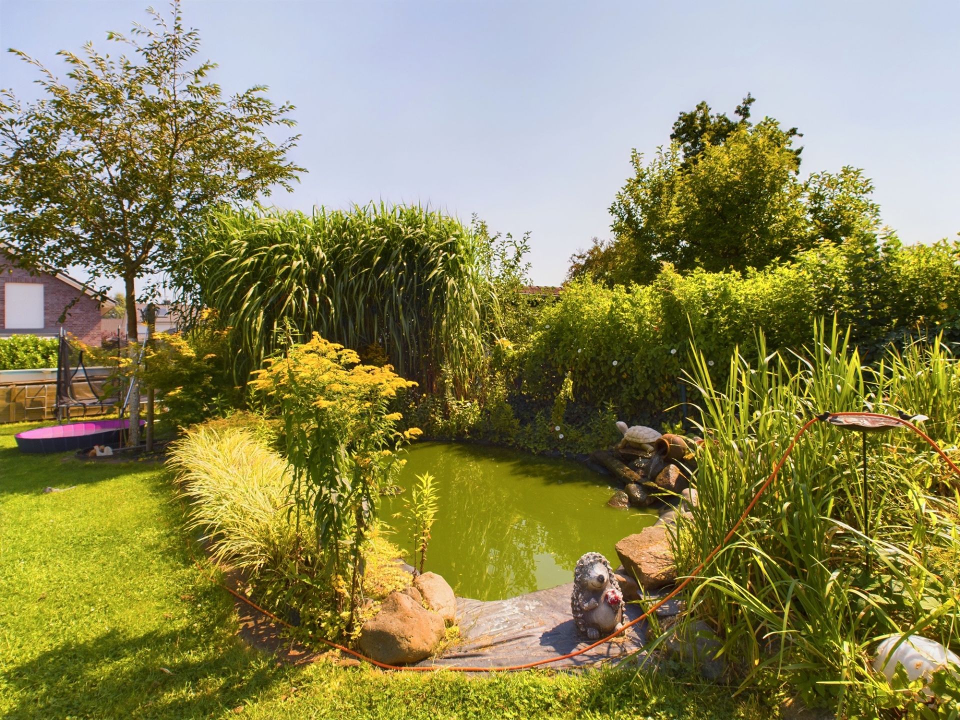 Garten mit kleinem Teich, umgeben von Pflanzen, Büschen und einer Igel-Figur am Teichrand.
