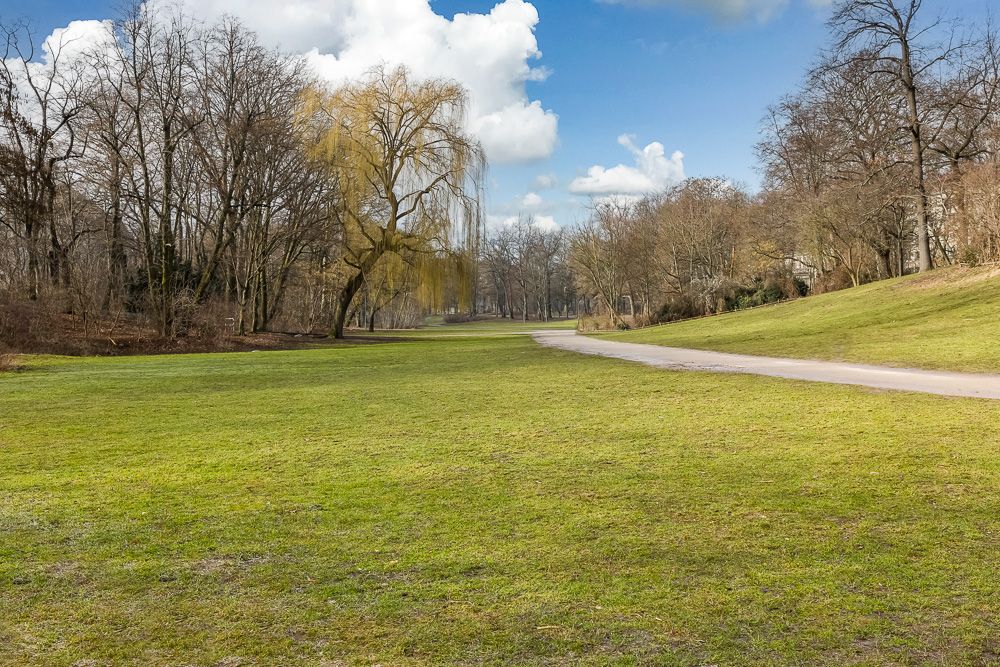 Große Wiese mit vereinzelten Bäumen und einem geschwungenen Weg, umgeben von kahlen Bäumen.