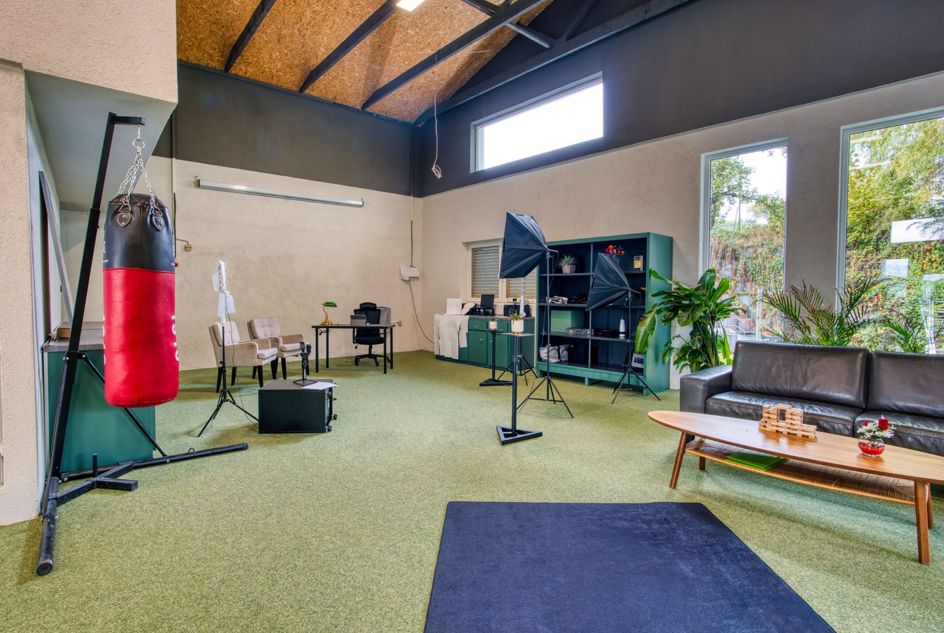 Heller Wohnraum mit Boxsack, Sofa, Tisch, Regalen, Pflanzen und großen Fenstern.