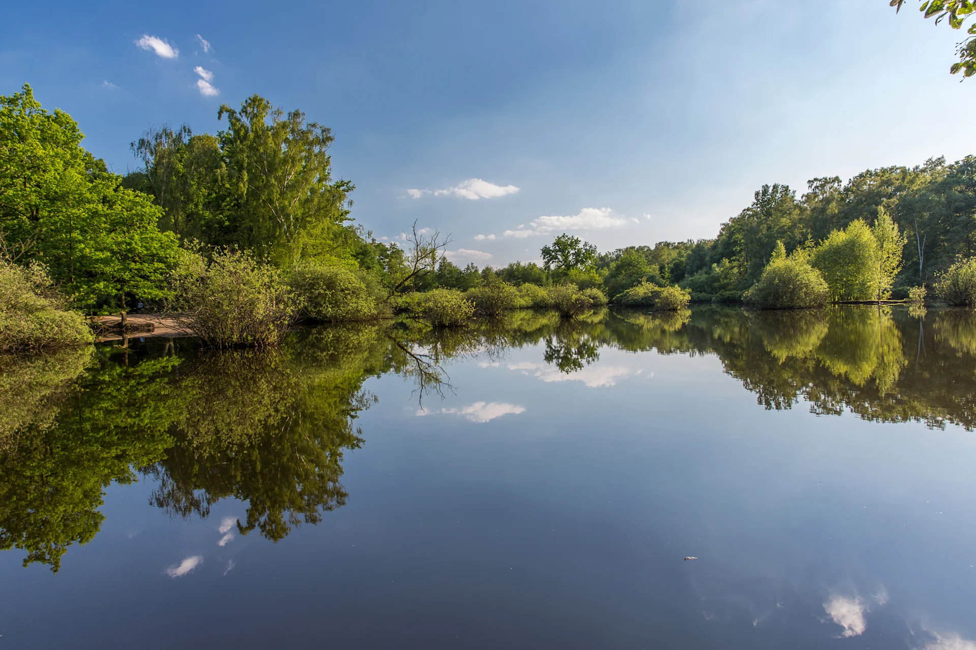 Ruhiger See mit Bäumen und blauem Himmel, reflektiert auf der Wasseroberfläche.