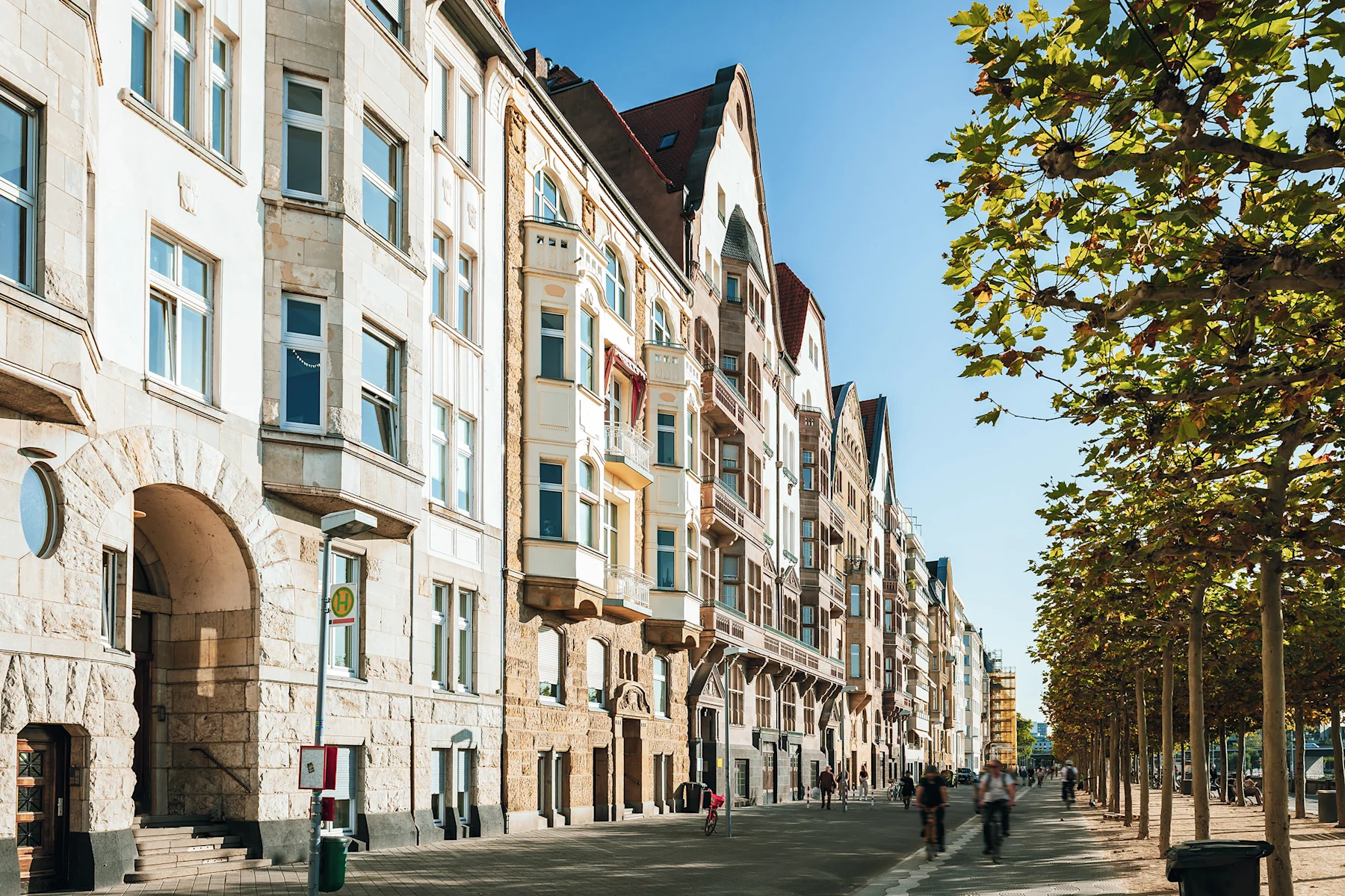 Reihen von historischen Wohngebäuden an einer baumbestandenen Straße bei Sonnenschein.