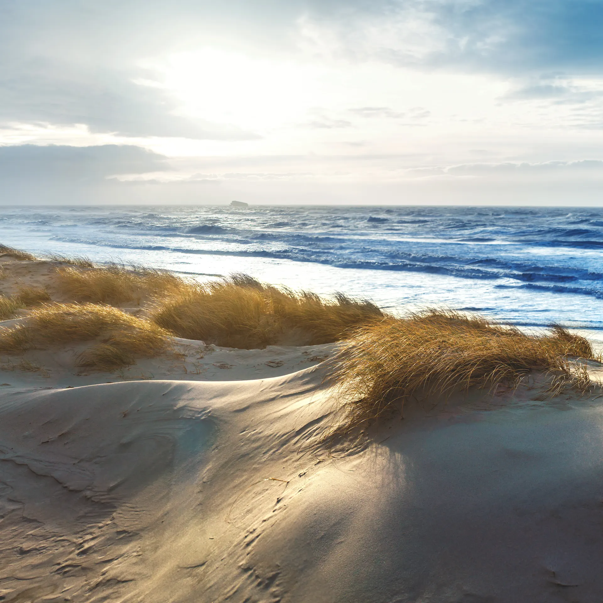 Sanddünen mit Gras im Vordergrund und Meer im Hintergrund bei Sonnenlicht.