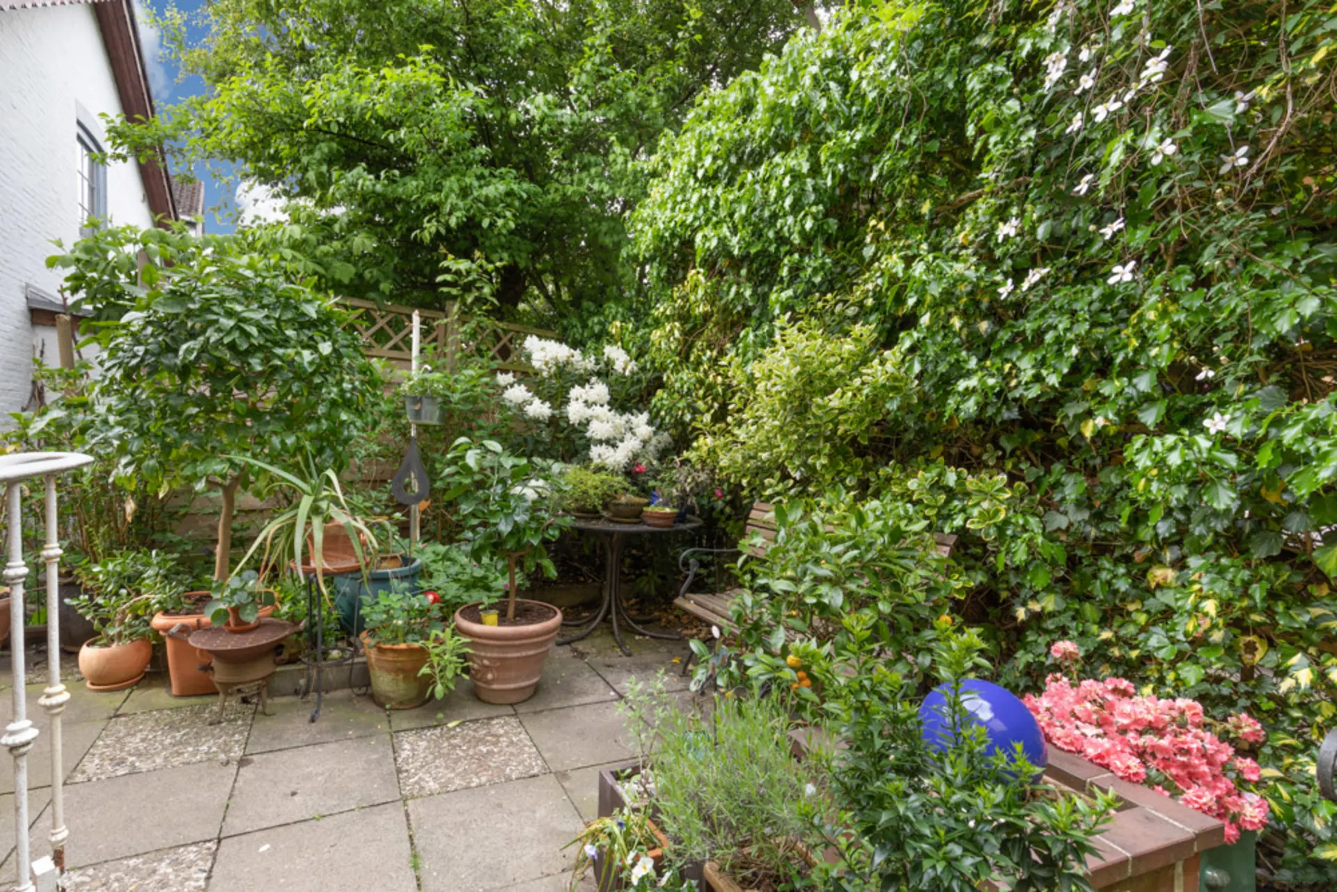 Kleine Terrasse mit vielen Pflanzen in Töpfen, einer Sitzbank und dichtem Grün an den Wänden.