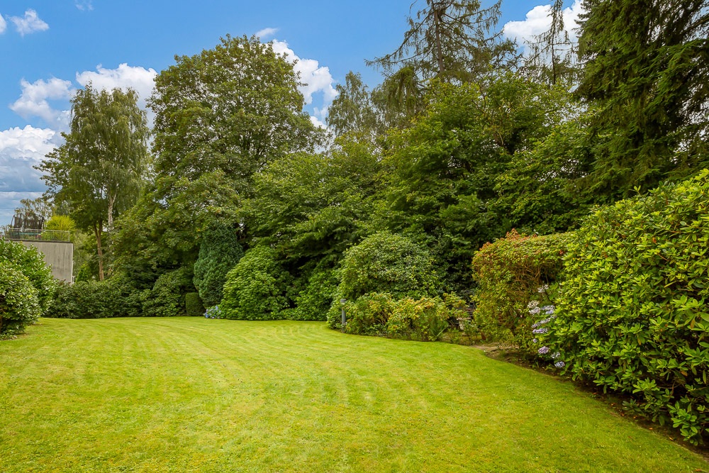 Grüner Garten mit Rasenfläche und dichter Bepflanzung, umgeben von hohen Bäumen.