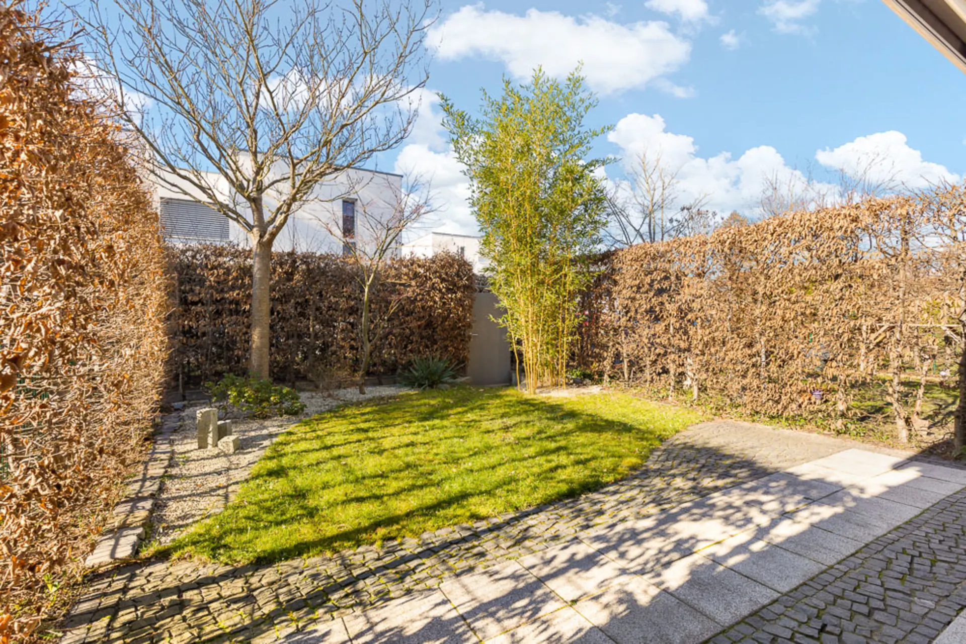 Kleiner Garten mit Rasenfläche, Bäumen und angrenzenden Hecken, gepflasterten Wegen im Sonnenlicht.