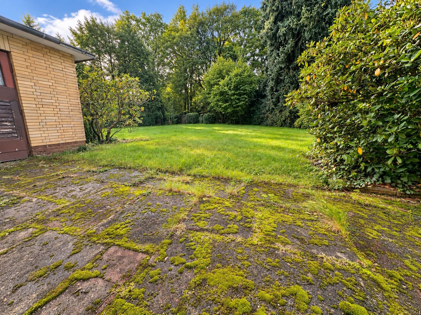 Blick auf eine Terrasse mit Moos, dahinter Rasen und viele Bäume im Garten.