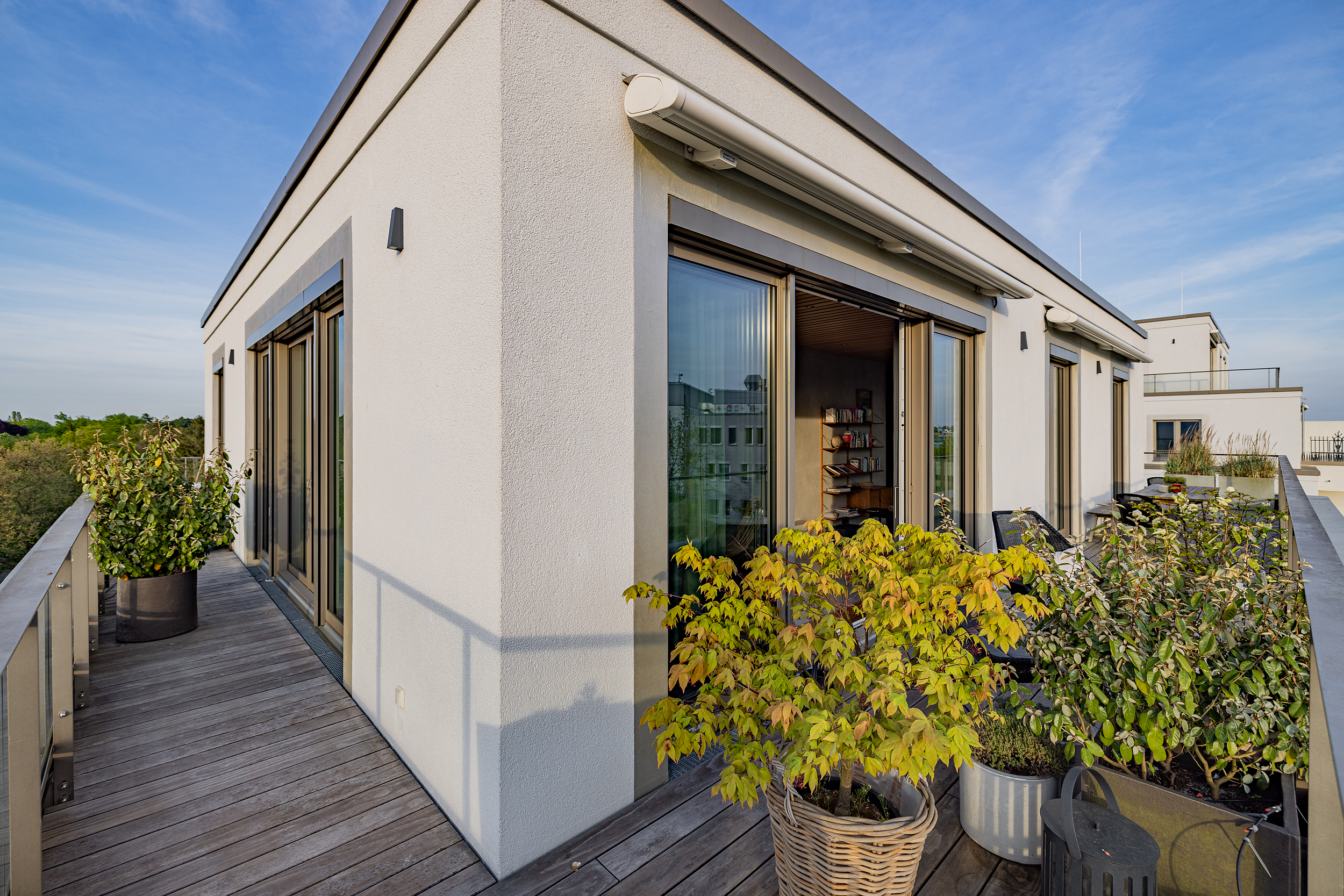 Moderne Dachterrasse mit großen Fenstern, Pflanzen in Töpfen und Holzboden.