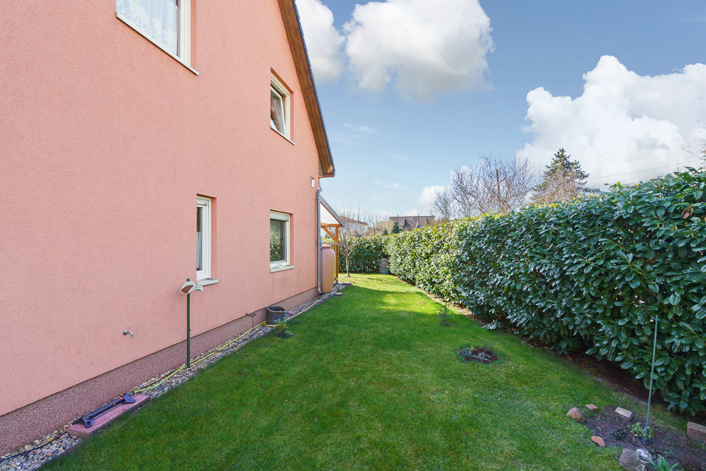 Seitlicher Garten mit Rasen, Hecke und pinker Hauswand unter blauem Himmel.