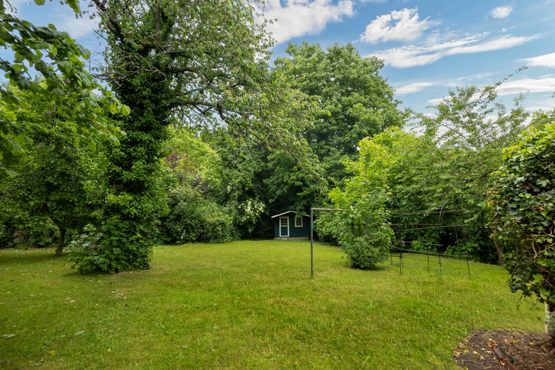 Grüner Garten mit Bäumen und einem kleinen Gartenhaus im Hintergrund.