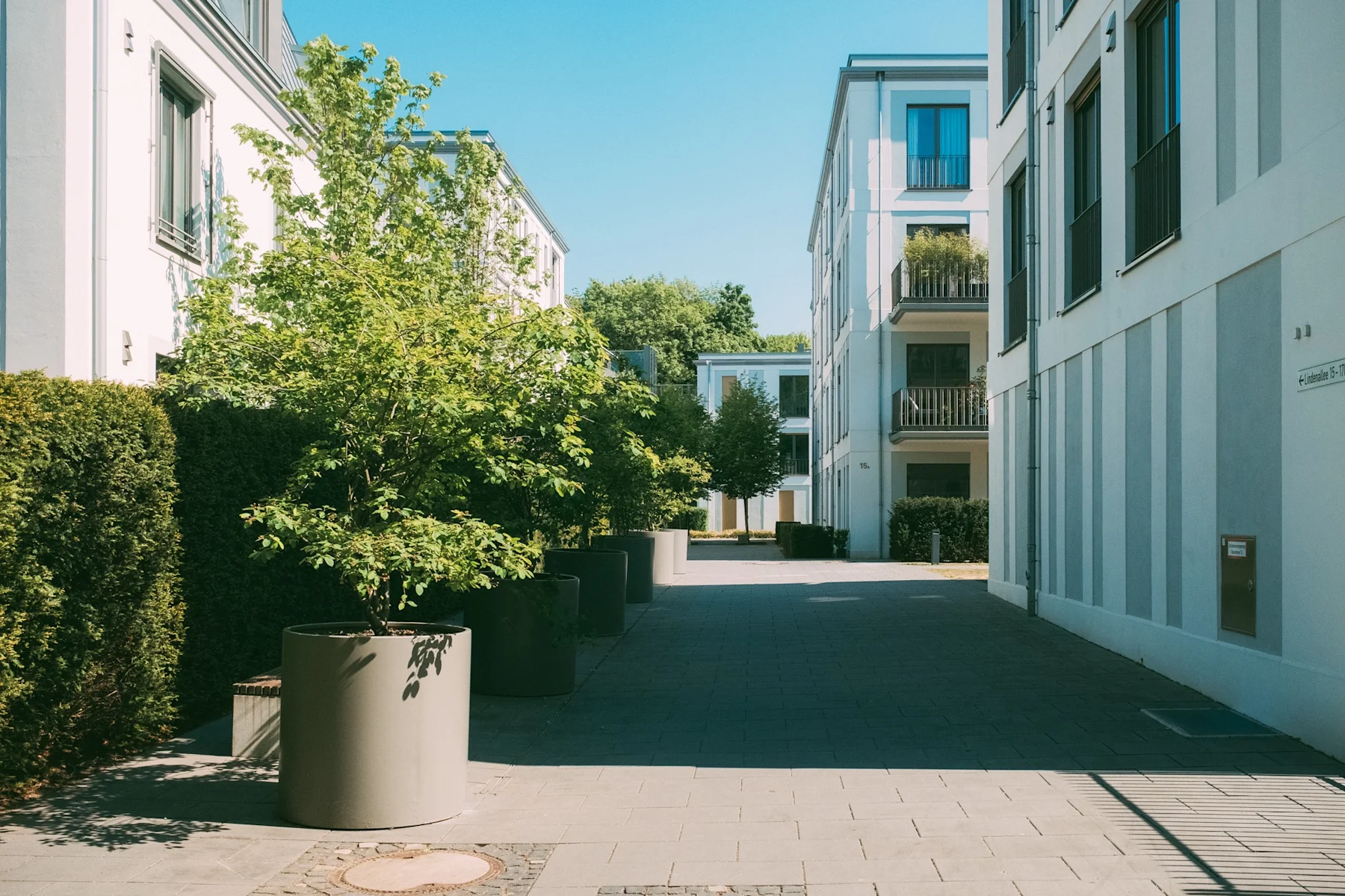 Moderner Innenhof mit Bäumen in großen Pflanzkübeln zwischen Wohngebäuden an einem sonnigen Tag.