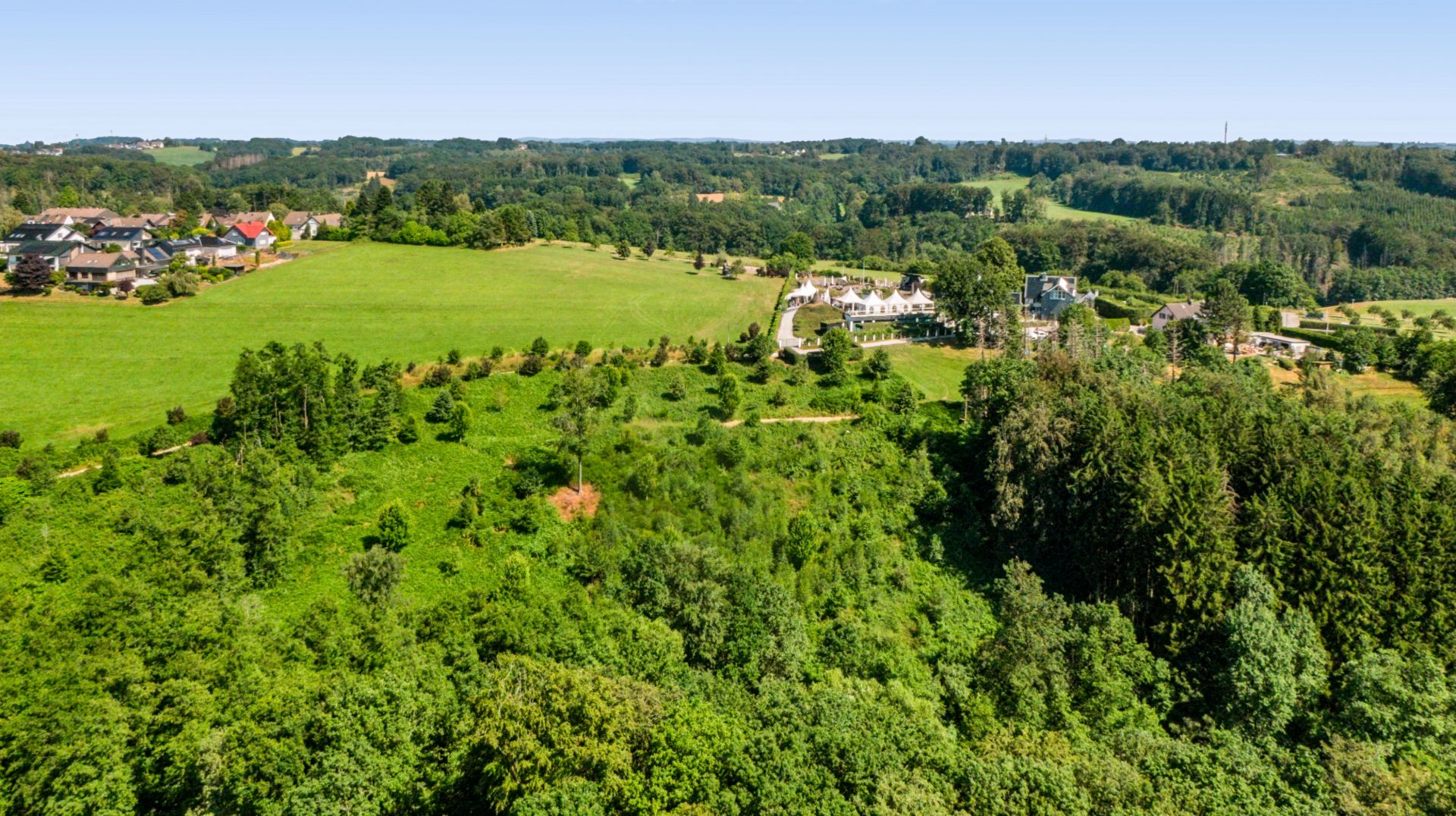 Luftaufnahme von grüner Landschaft mit Bäumen, Wiesen und mehreren Wohnhäusern am Waldrand.