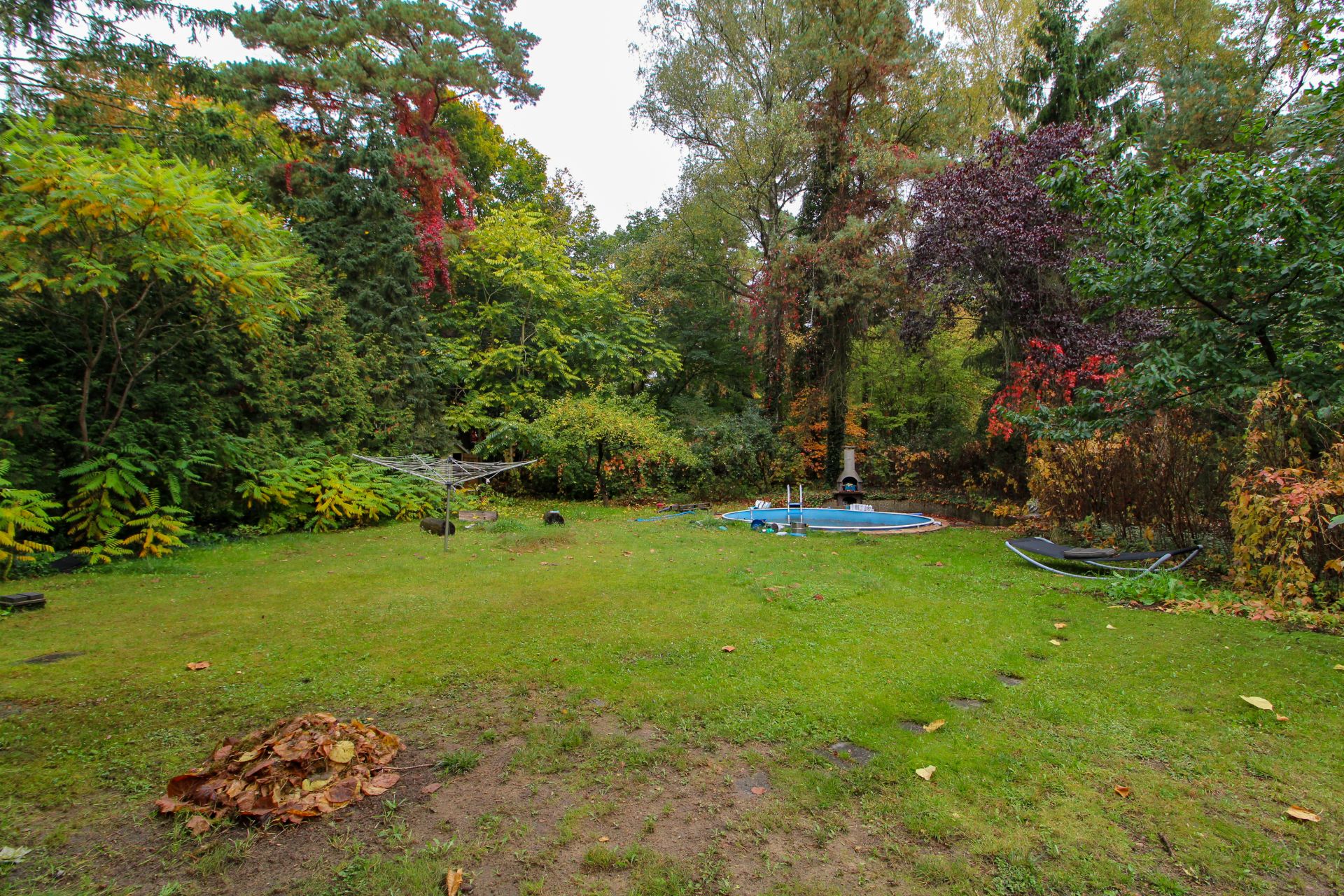 Grüner Garten mit Wäschespinne, kleinem Pool und Hängematte, umgeben von Bäumen.