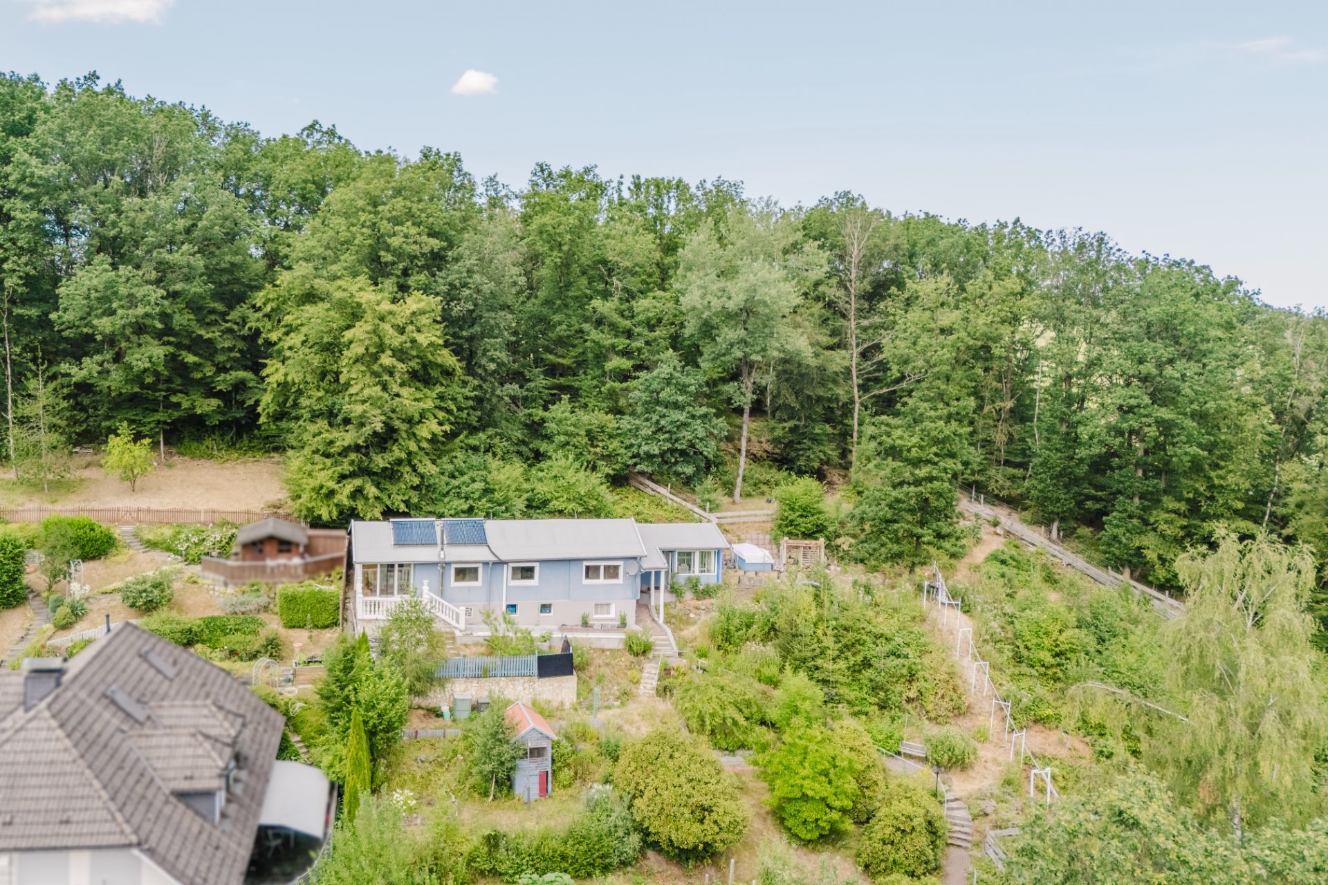 Wohnhaus mit Garten vor dichtem Wald, Außenaufnahme bei Tageslicht.