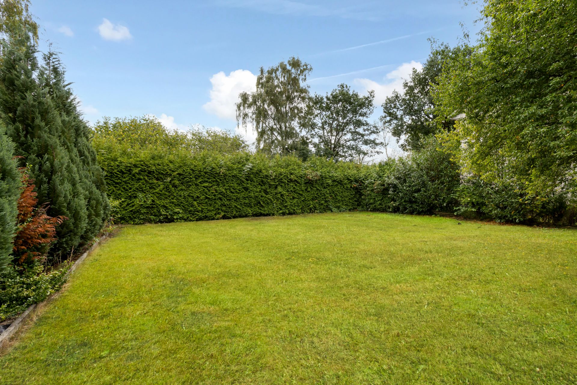 Grüner Garten mit Rasenfläche, umgeben von Büschen und Bäumen.