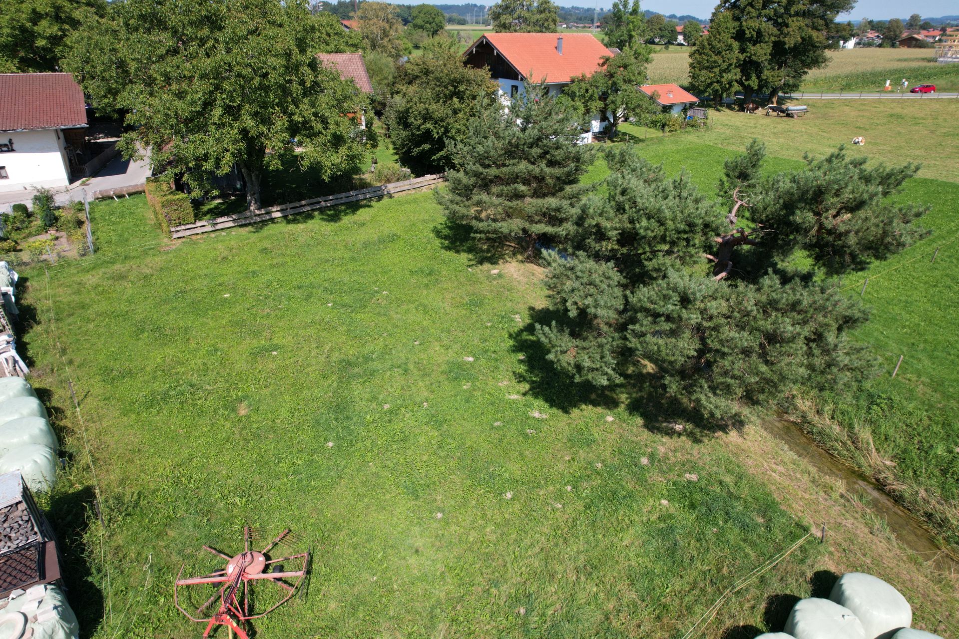 Große grüne Wiese mit Bäumen und angrenzenden Wohnhäusern bei sonnigem Wetter.