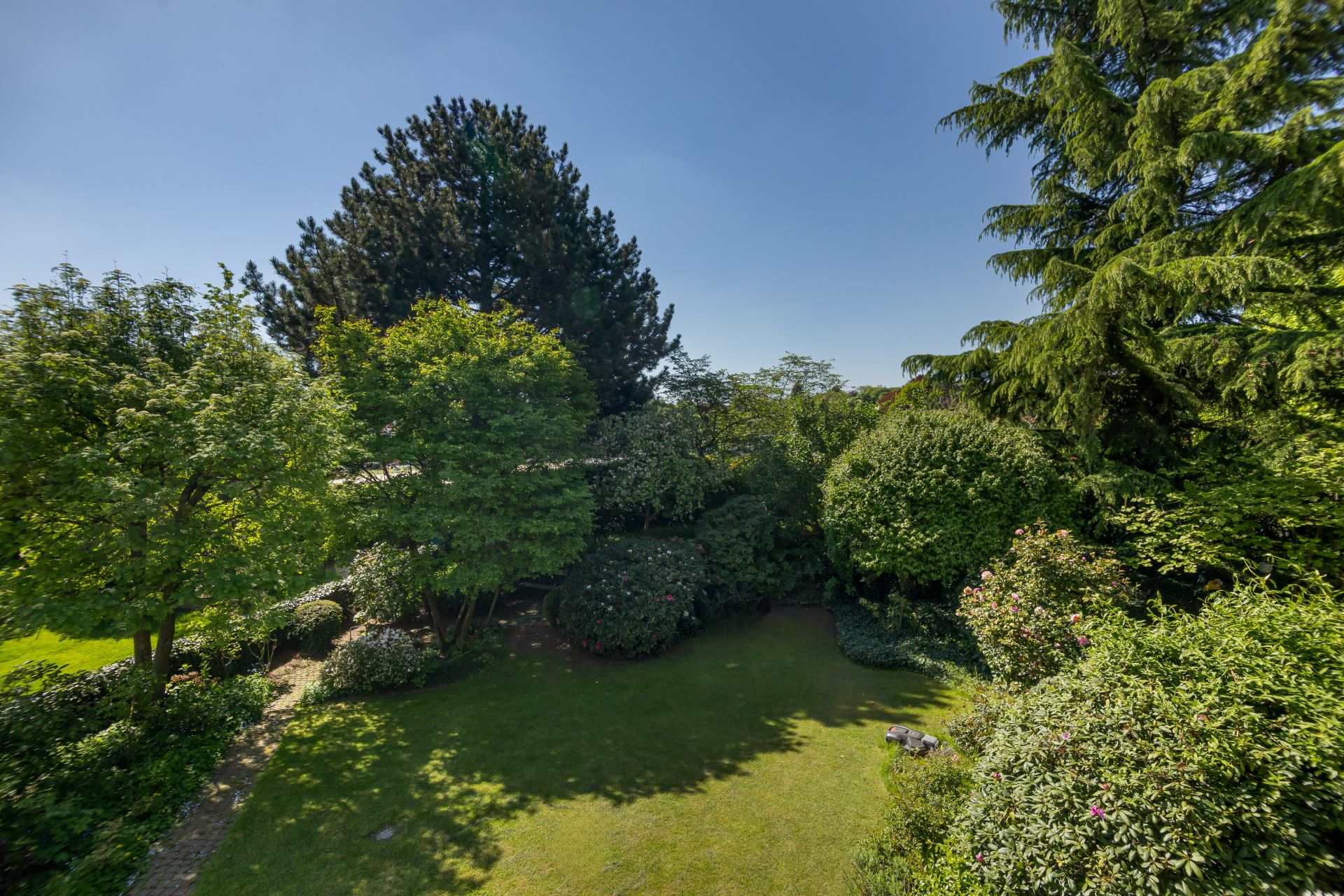 Grüner Garten mit Rasenfläche, vielen Büschen und großen Bäumen bei sonnigem Wetter.