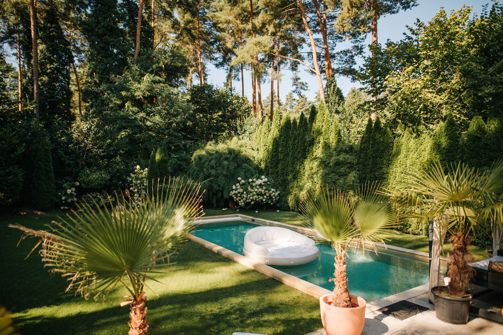 Ein Garten mit rechteckigem Pool, runden Liege und mehreren Palmen in Töpfen, umgeben von vielen Bäumen.