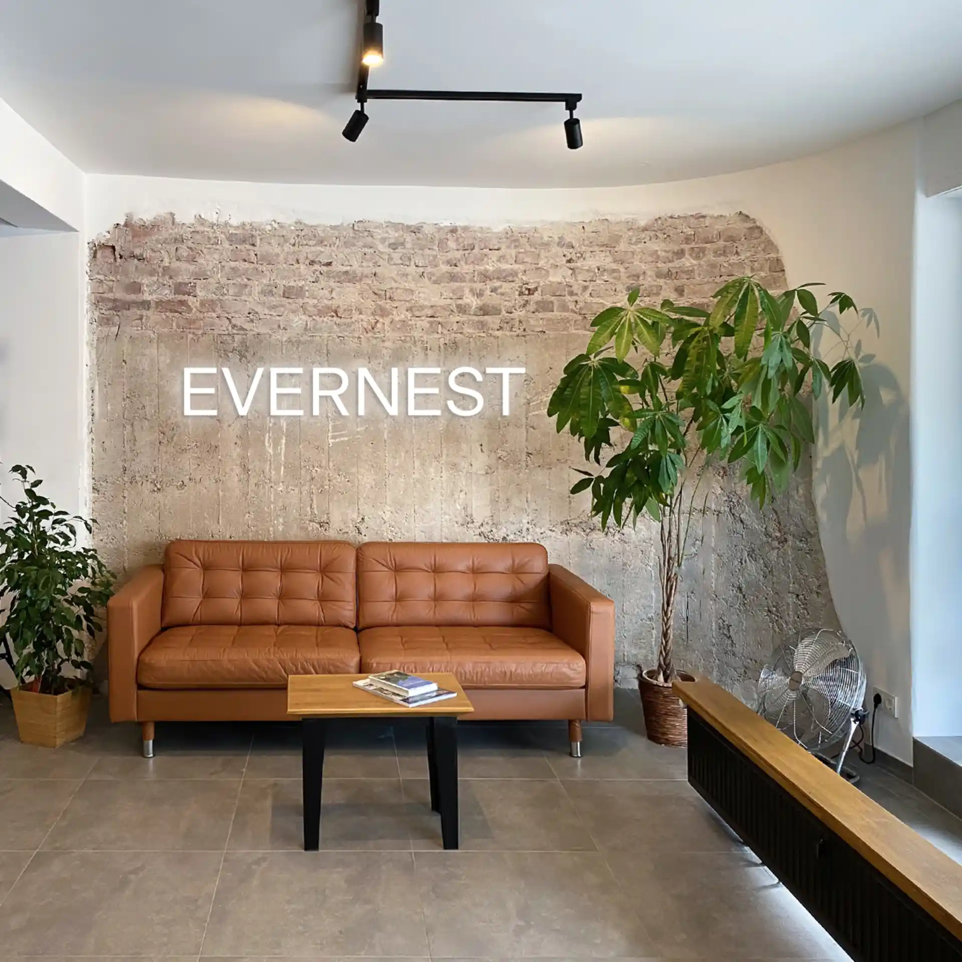 Wohnzimmer mit braunem Sofa, Couchtisch, zwei Zimmerpflanzen und einer Backsteinwand.