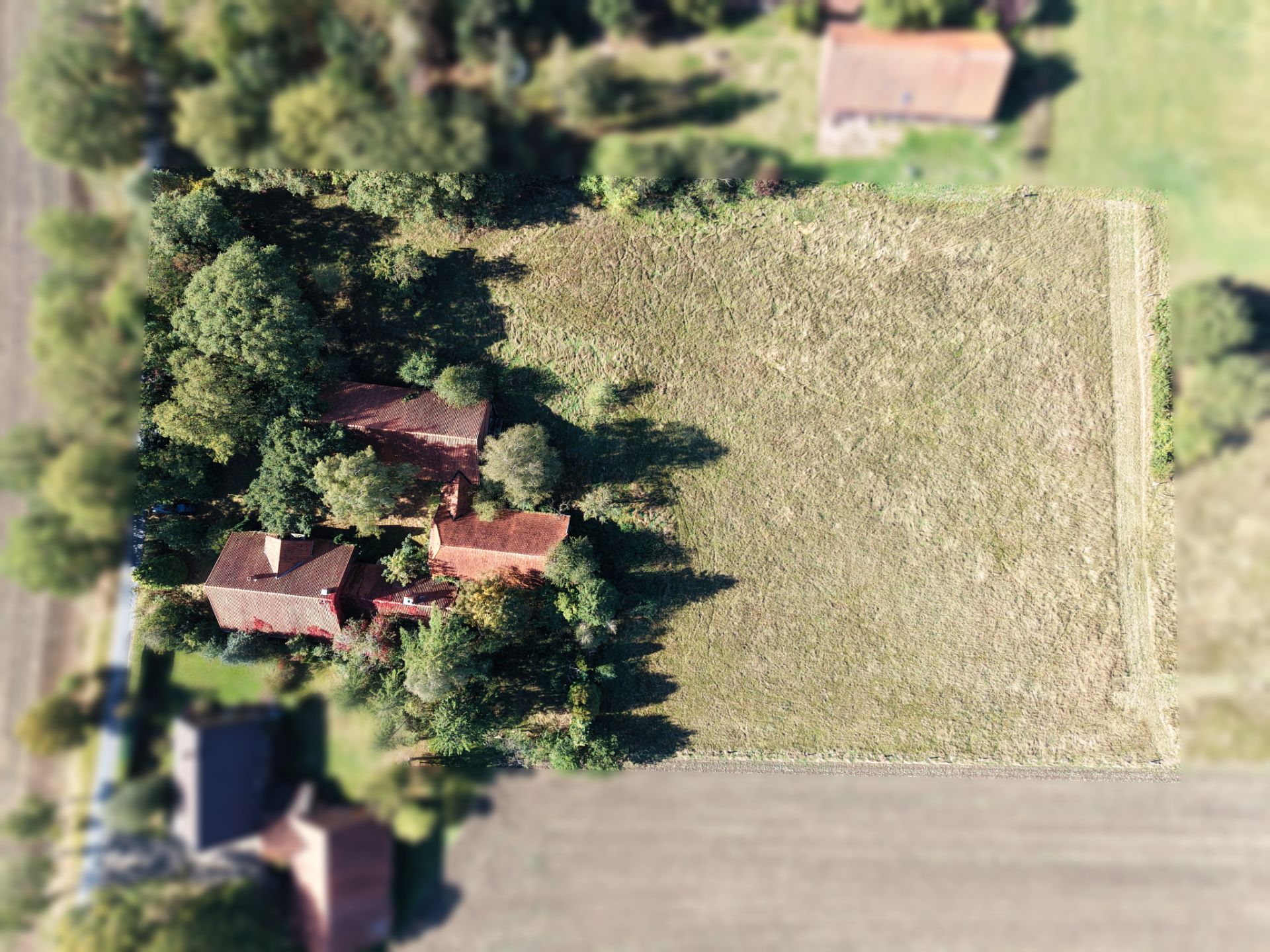Luftaufnahme eines Grundstücks mit Wohnhaus, Bäumen und großer Wiese.