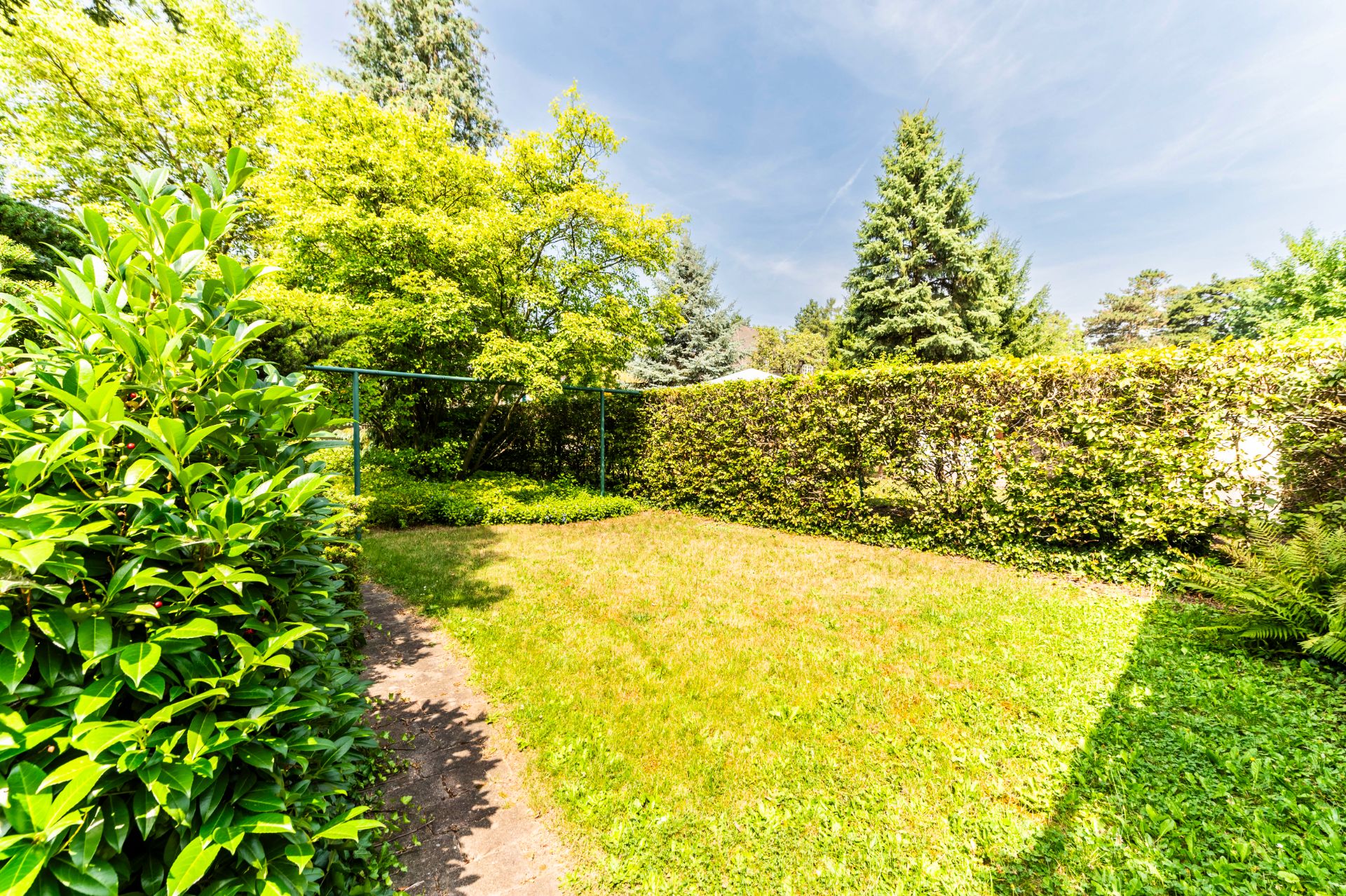 Grüner Garten mit Rasenfläche, Büschen und Bäumen an einem sonnigen Tag.