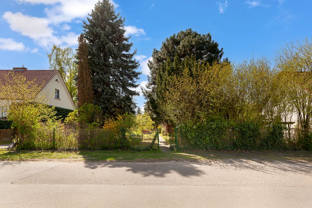 Vorgarten mit Bäumen und Zaun, Blick von der Straße auf ein Wohngrundstück.
