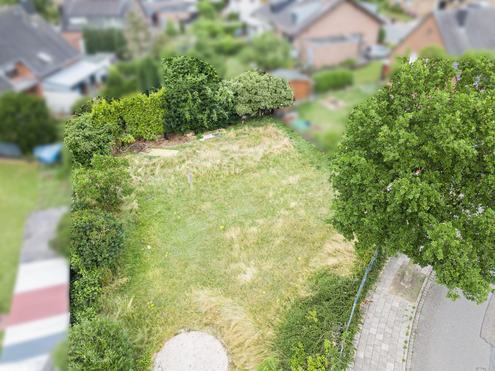 Luftaufnahme eines Gartens mit Rasenfläche, Büschen und angrenzendem Gehweg.