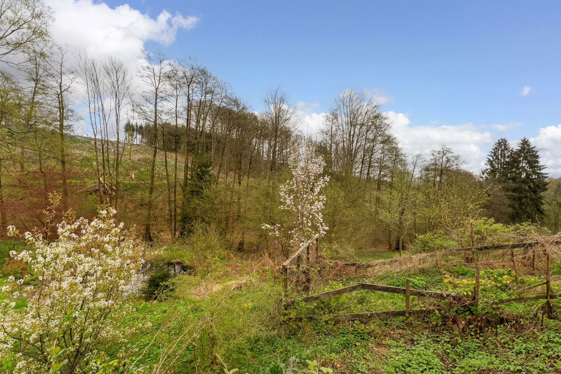 Grünes Gartengrundstück mit blühenden Büschen, Bäumen und Holzzaun unter blauem Himmel.