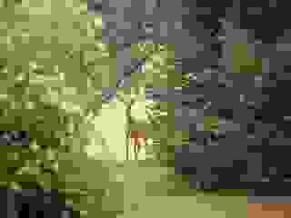 Hamburg Niendorfer Gehege Wald Rehe, Quelle:pixabay