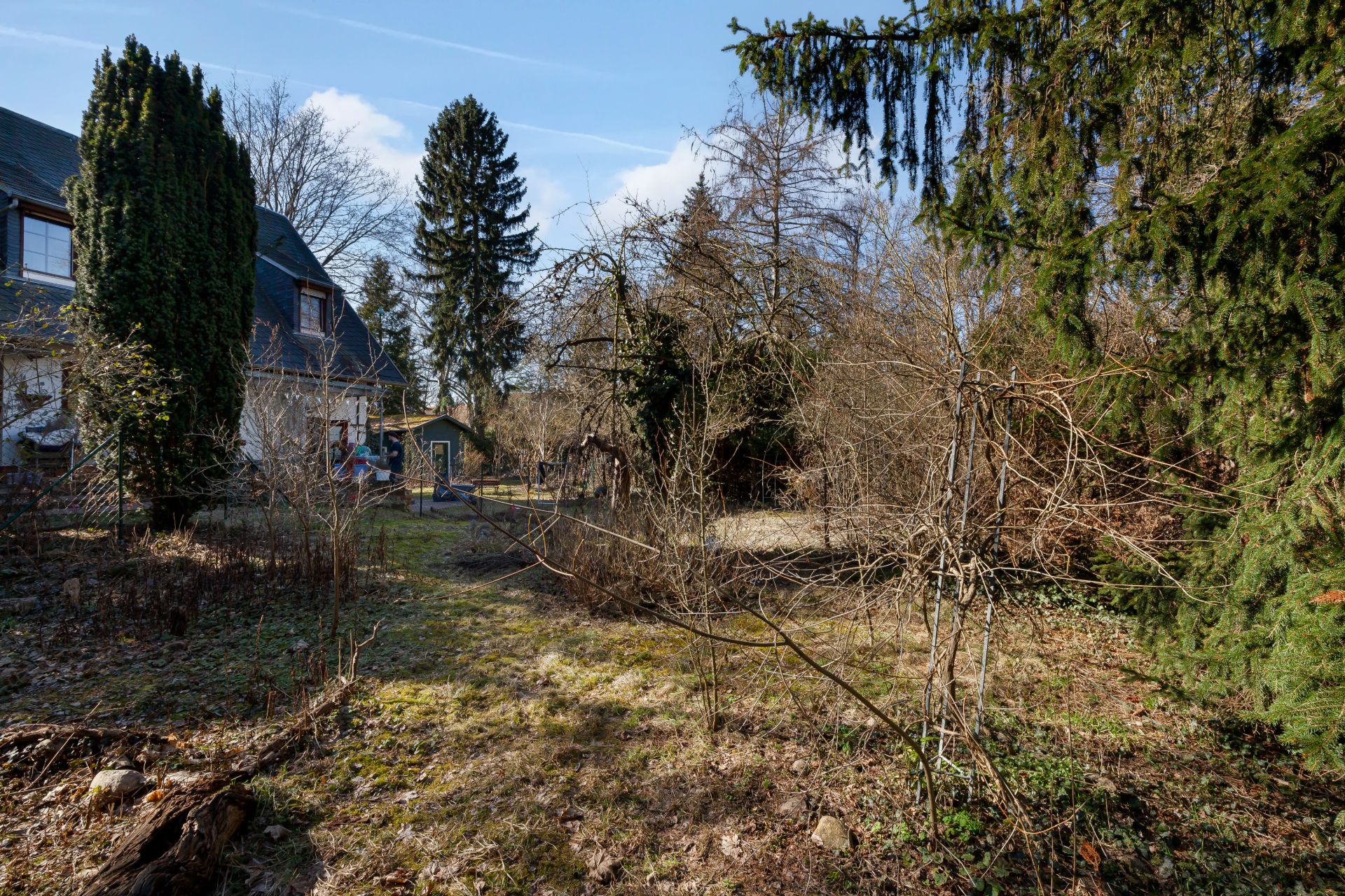 Garten mit Bäumen und Sträuchern, links ein Haus, im Hintergrund blauer Himmel.