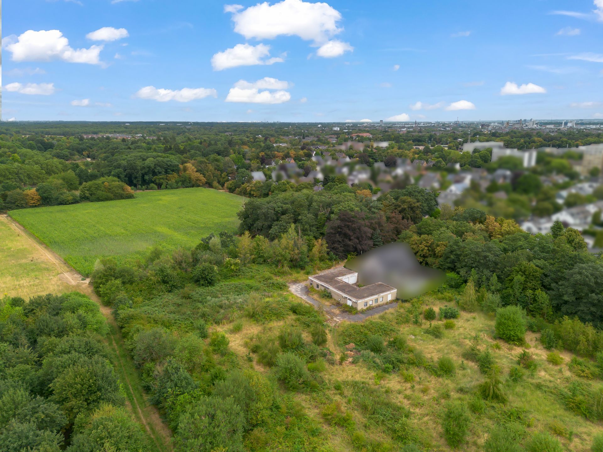 Luftaufnahme eines Hauses am Waldrand mit umliegender Wiese und Bäumen.