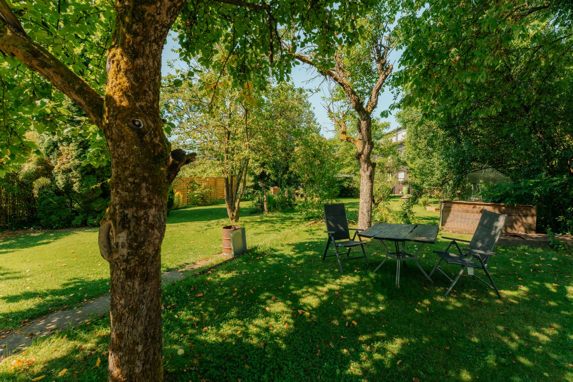 Grüner Garten mit Bäumen, Gartenmöbeln und viel Schatten.
