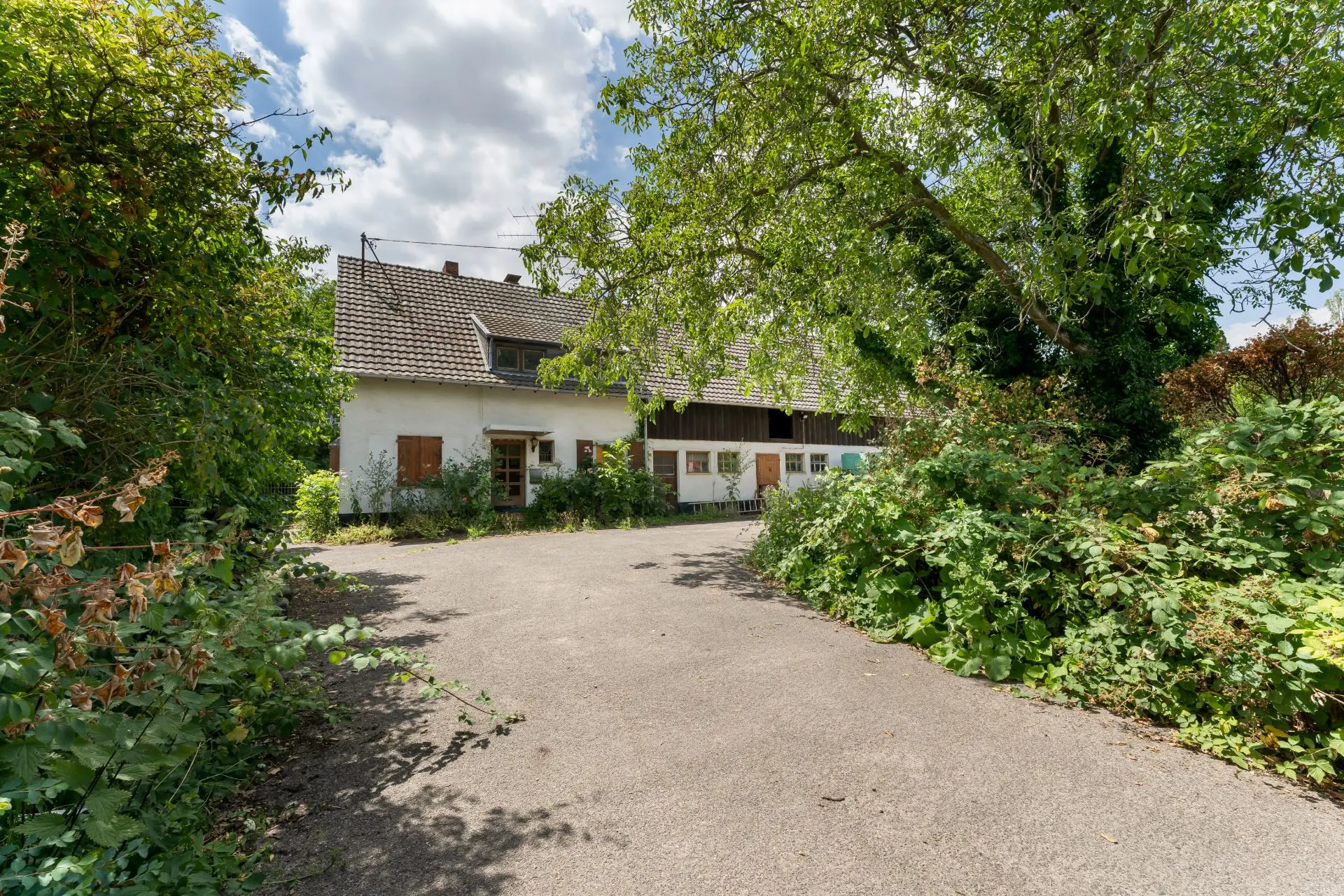 Zufahrt mit Bäumen und Büschen führt zu einem weißen Wohnhaus mit Satteldach und Fensterläden.