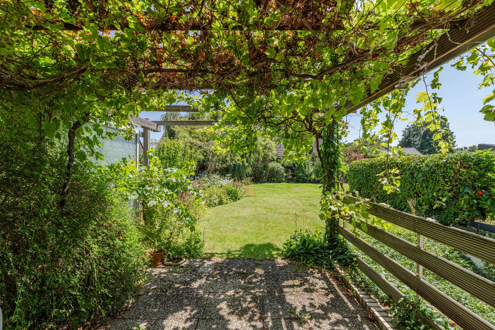 Bewachsene Pergola mit Blick auf einen grünen Garten mit Rasen und Büschen.