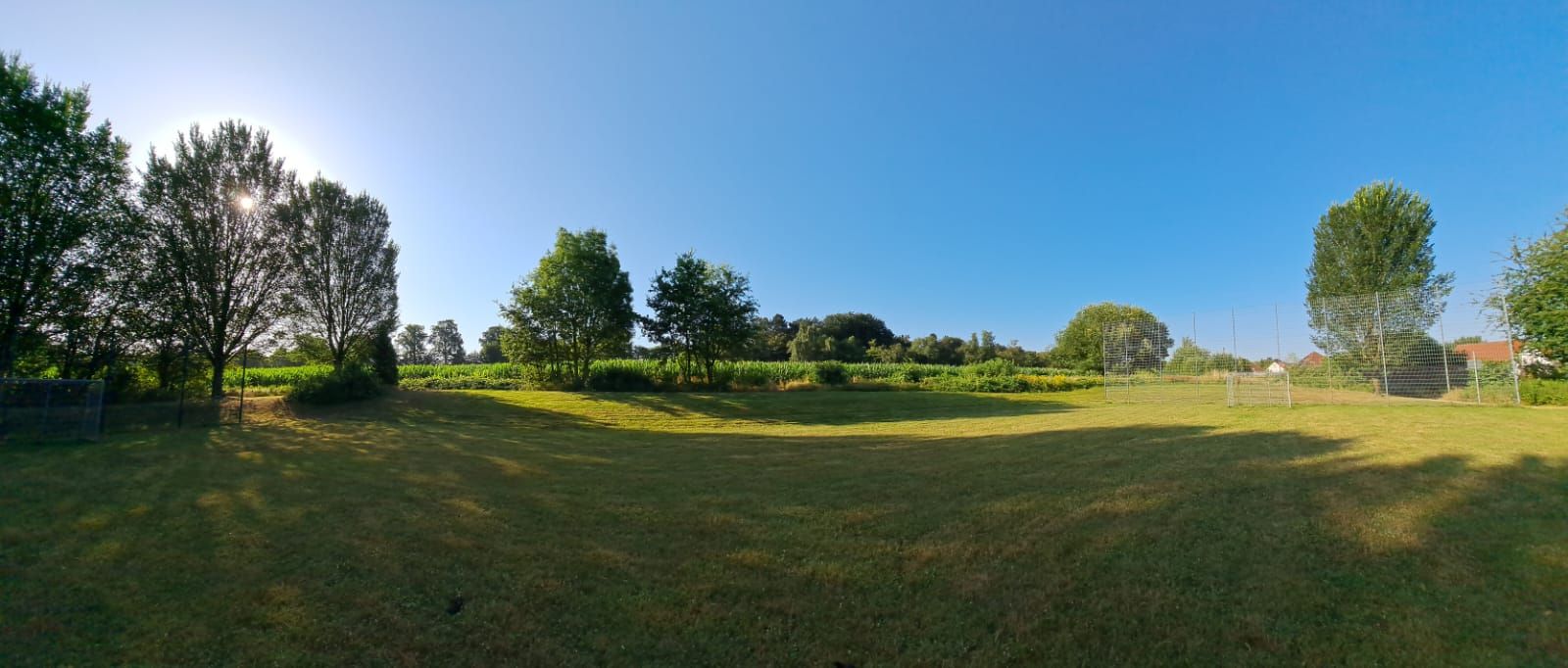 Große Wiese mit Bäumen am Rand unter blauem Himmel, Sonne scheint durch die Äste.