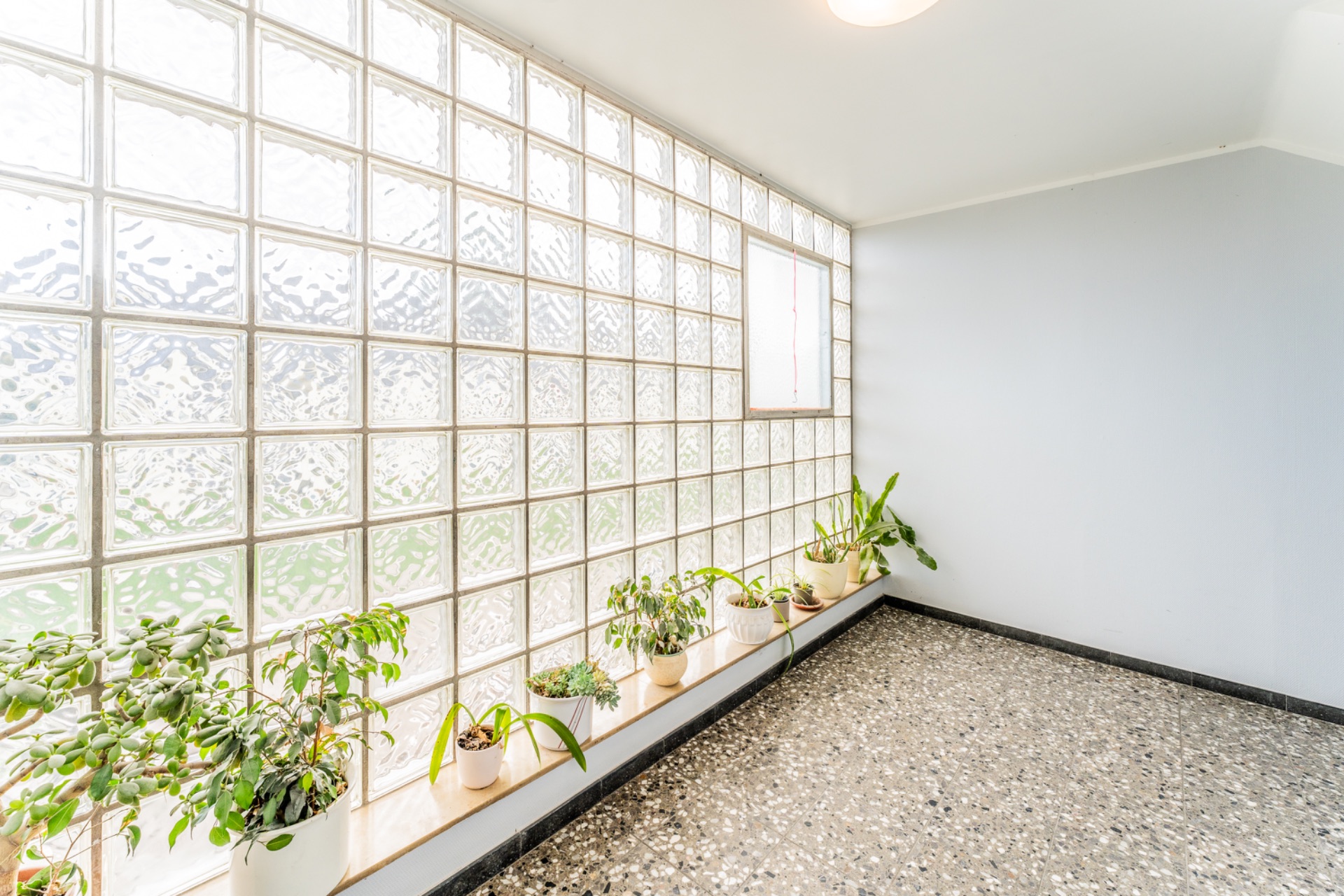 Heller Flur mit Glasbausteinwand und mehreren Topfpflanzen auf der Fensterbank.