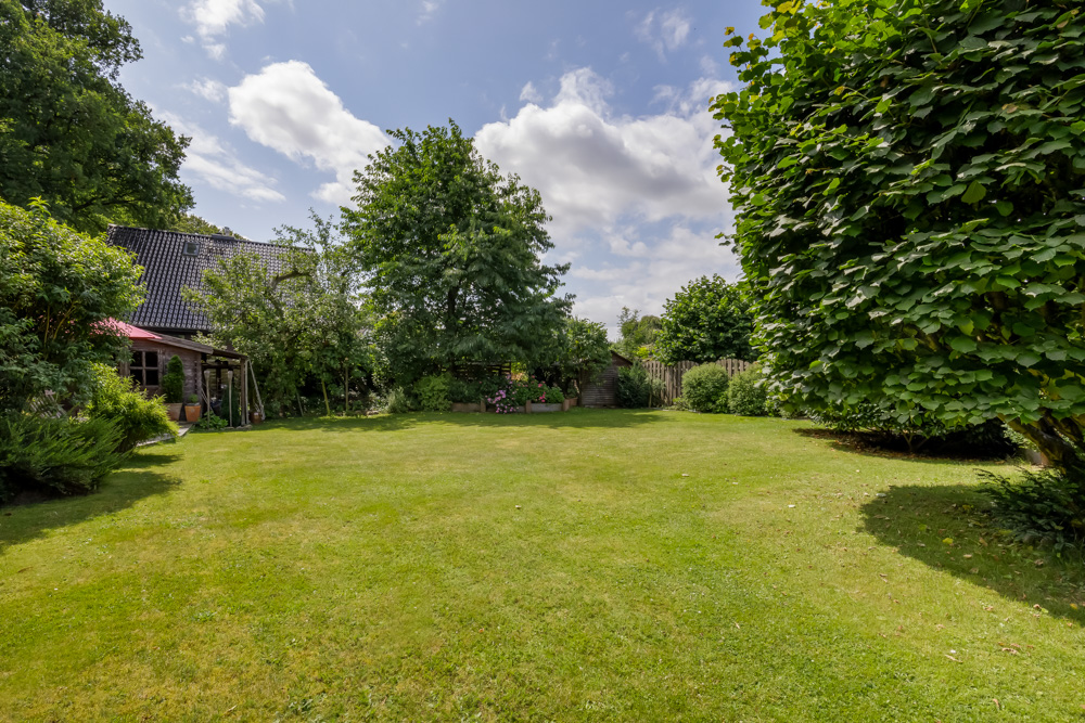 Großer Garten mit grüner Wiese, Bäumen, Sträuchern und einem Haus links im Hintergrund.