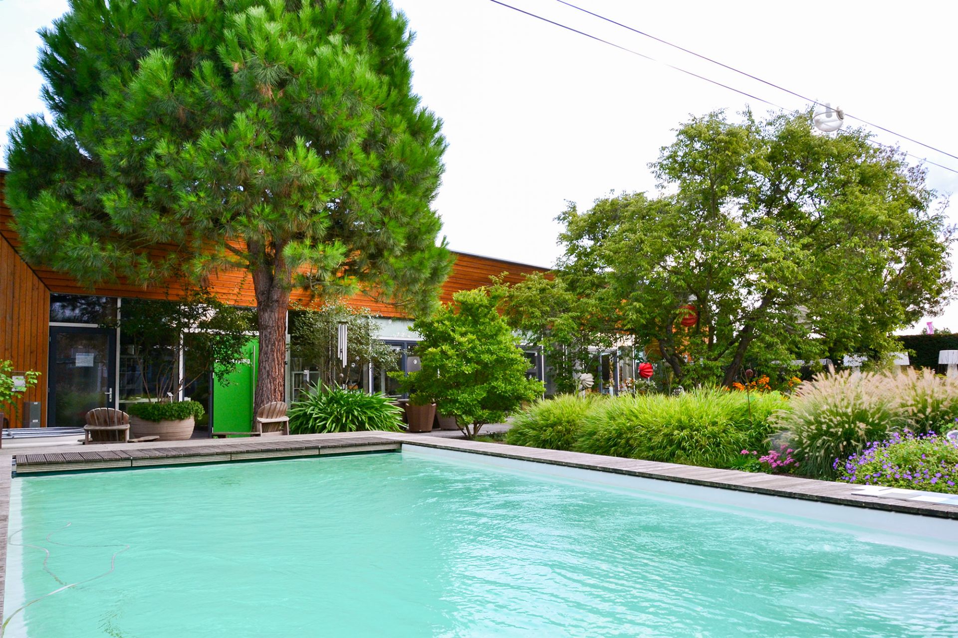 Ein Swimmingpool im Garten vor einem modernen Haus mit vielen Bäumen und Pflanzen.