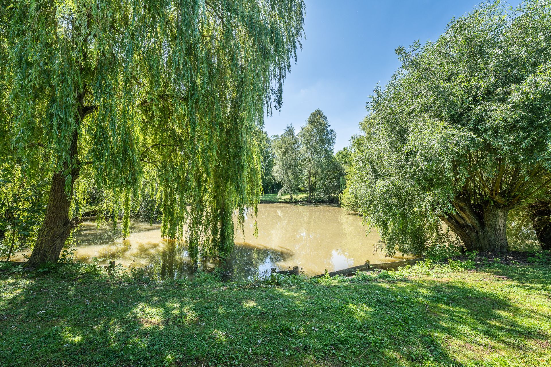 Teich im Garten mit großen Bäumen und grünem Rasen unter blauem Himmel.