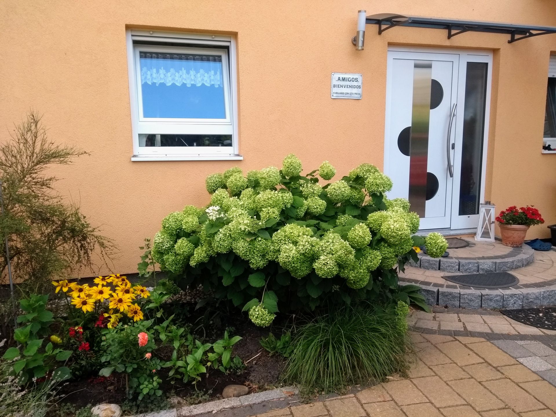 Eingang eines Hauses mit weißer Tür, Blumenbeet und großem Hortensienstrauch.