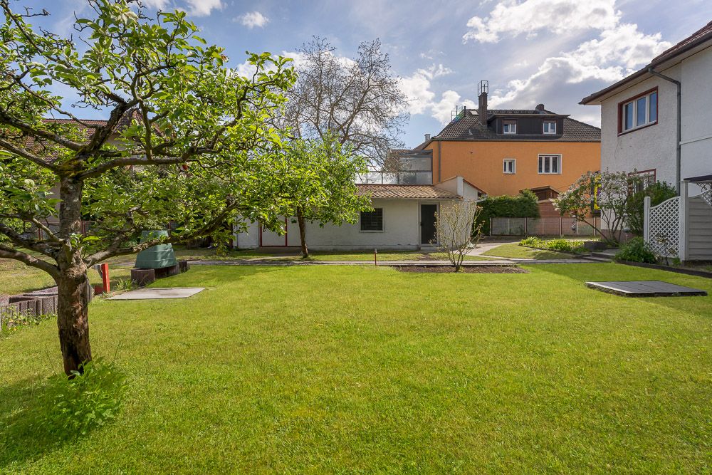 Gepflegter Garten mit Rasen, Bäumen und einem kleinen Schuppen im Hintergrund.